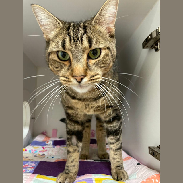 Photo of 😎 Ray F02787 😎