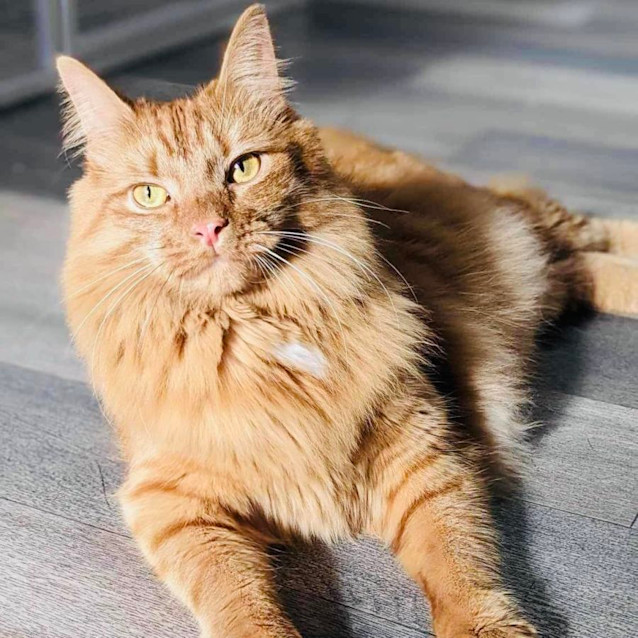 Photo of Brayden & Taylor   Located In Preston