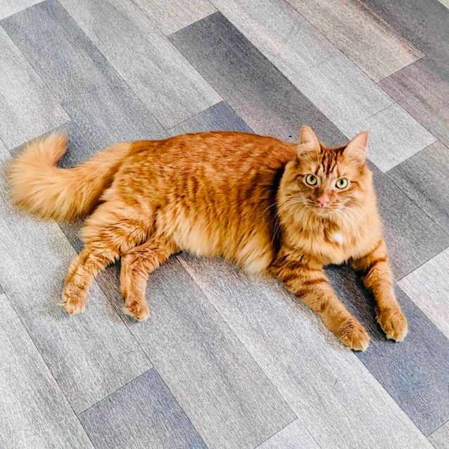 Photo of Brayden & Taylor   Located In Preston