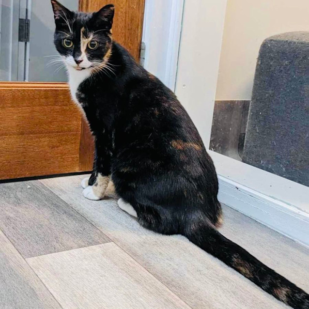 Photo of Taylor   Located In Preston