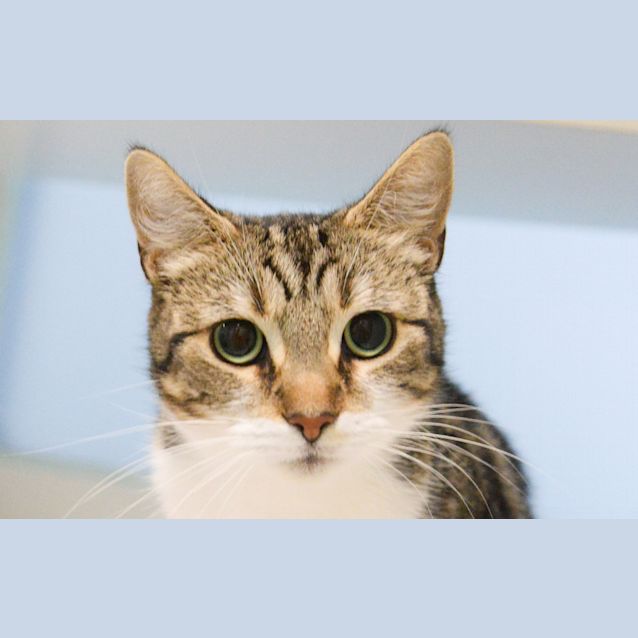 Photo of Della
