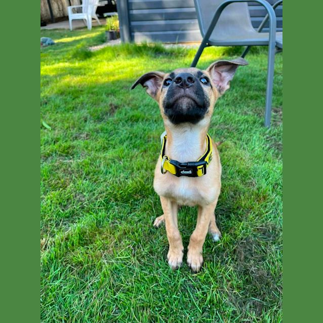 Photo of Roo