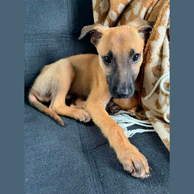 Photo of Roo