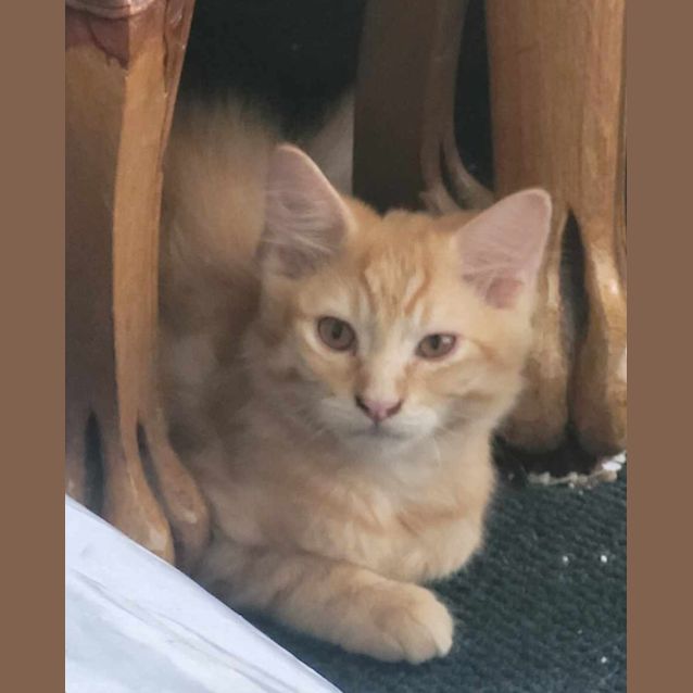 Photo of Chester K12