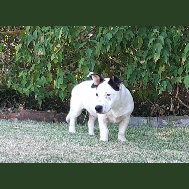 Photo of Xander