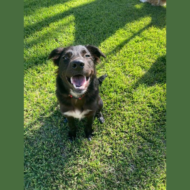 Photo of Alfie