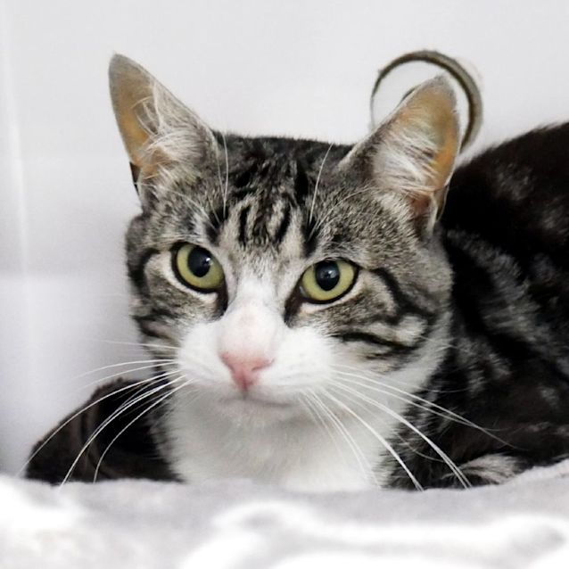 Photo of George Sta012395