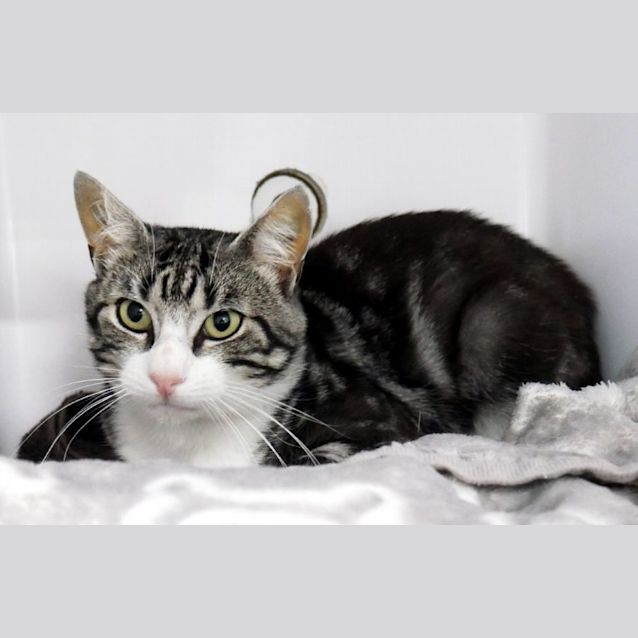 Photo of George Sta012395