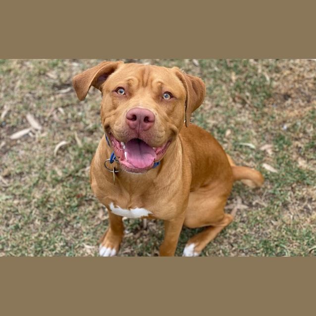 Photo of Buckley