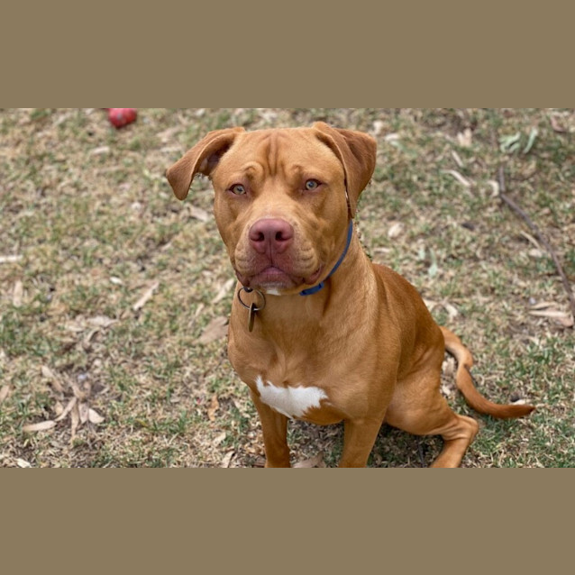 Photo of Buckley