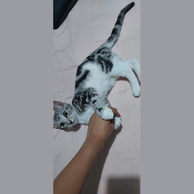 Photo of Jun