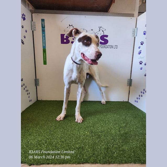 Photo of Odis