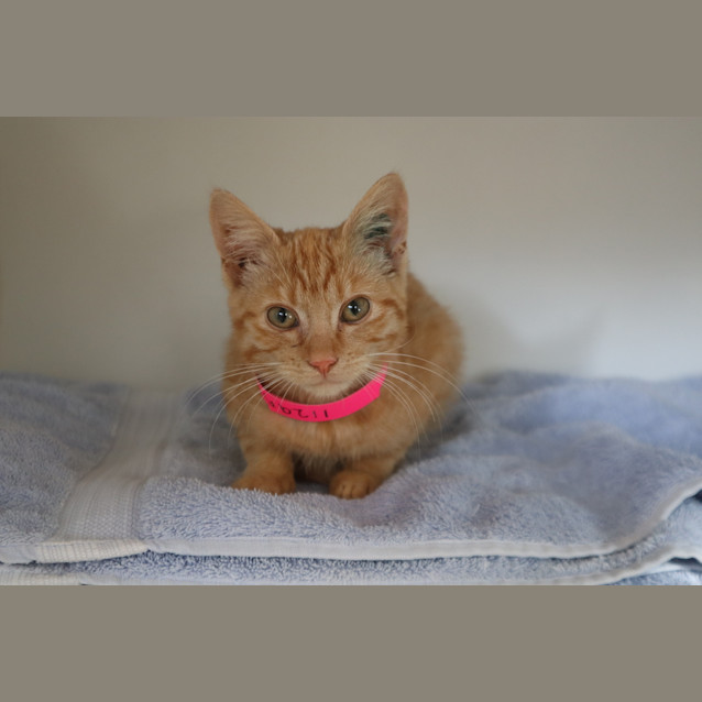 Photo of Melonie