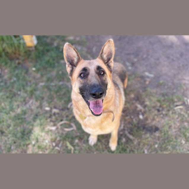 Photo of Ruby