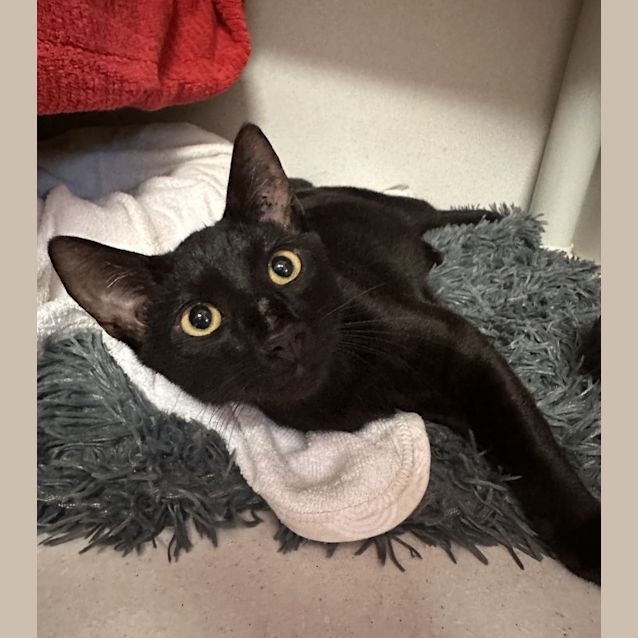 Photo of Tommy