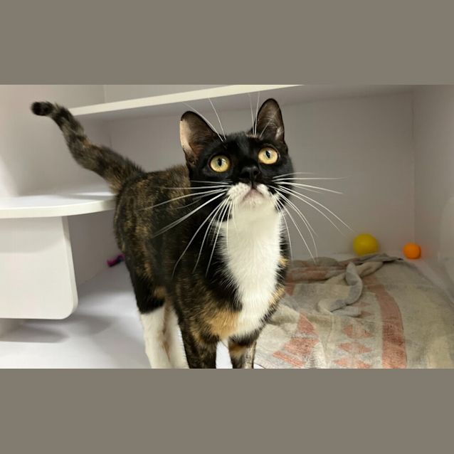 Photo of Sydney