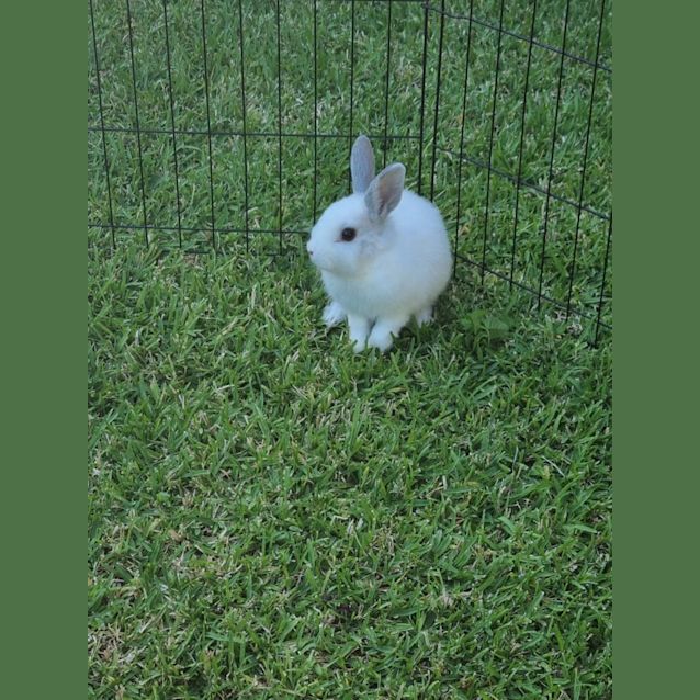 Photo of Berry