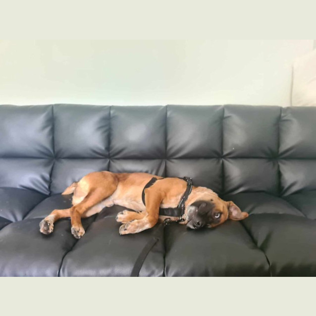 Photo of Marcus 