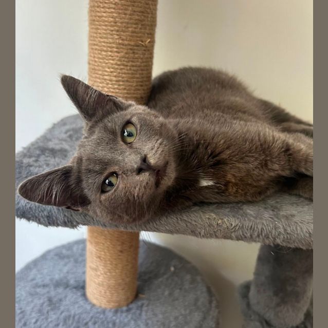 Photo of ❤️brumby❤️