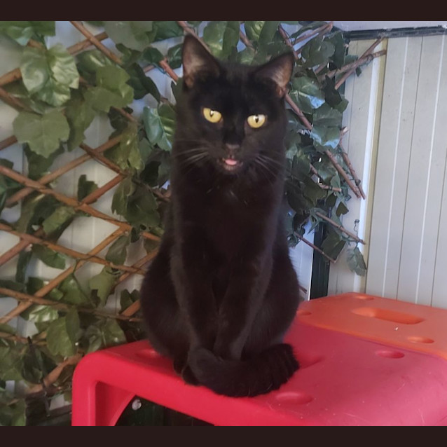 Photo of Audrey Rose 🌹