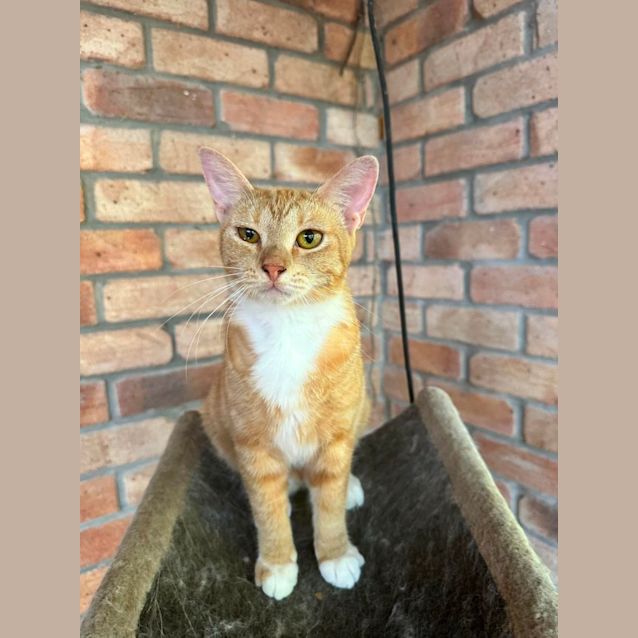 Photo of Philomena
