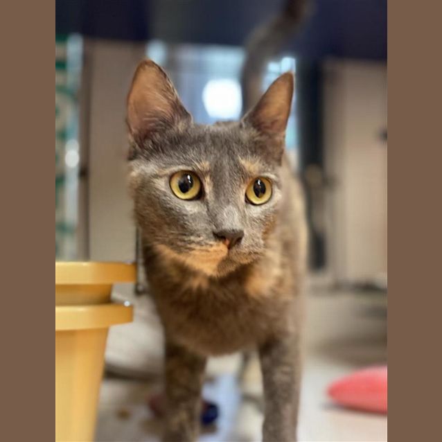 Photo of Sally