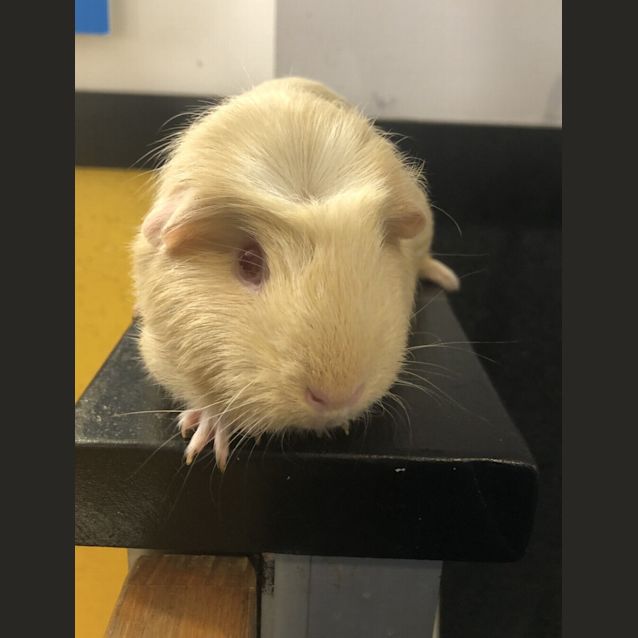 Photo of Nora
