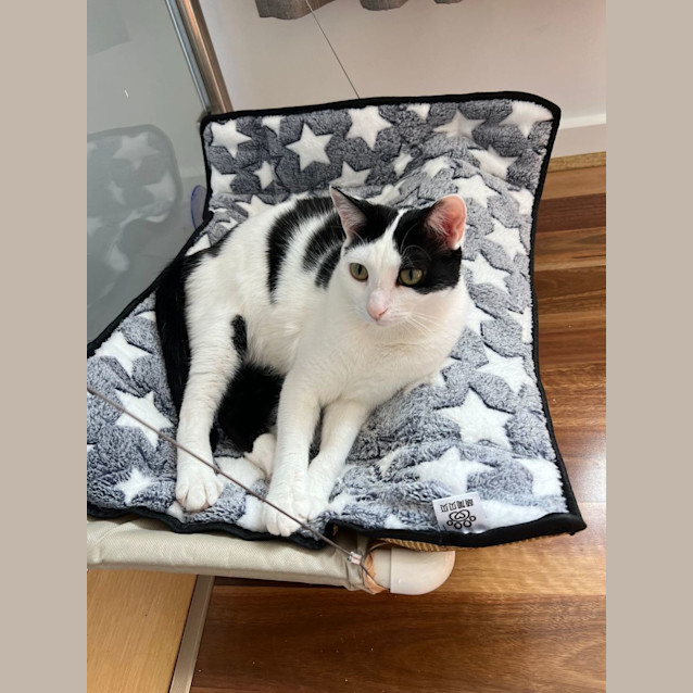 Photo of Tilly & Tilla