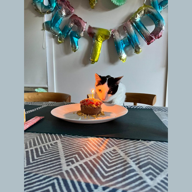 Photo of Tilly & Tilla