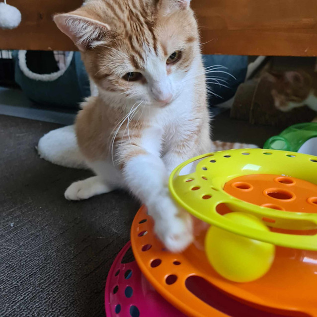 Photo of Endora
