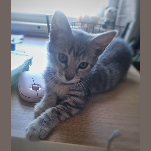 Photo of Hershey