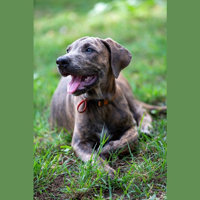 Photo of Willow (Jd4)