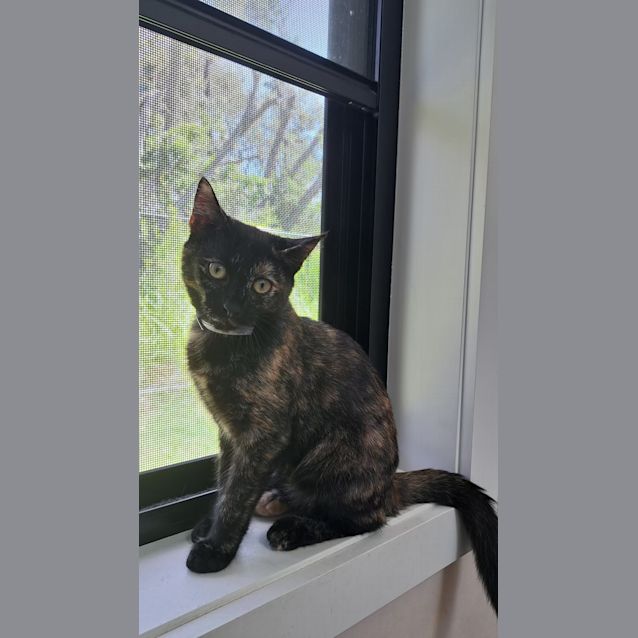 Photo of Parton (0106)