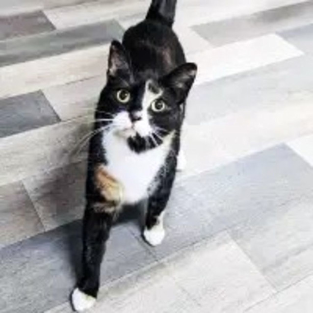 Photo of Taylor   Located In Preston