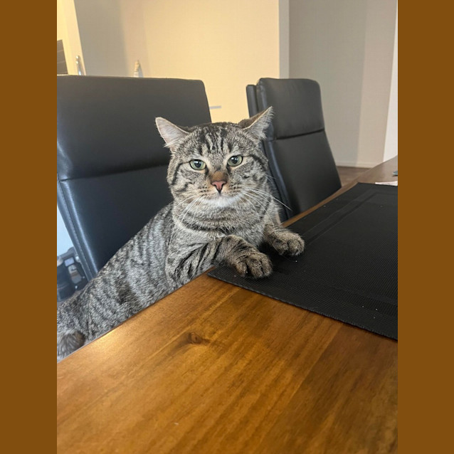 Photo of Chester