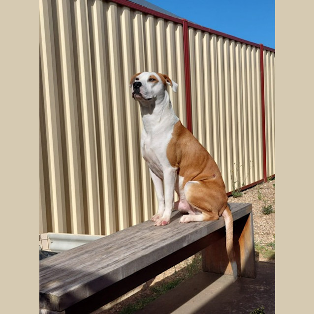 Photo of Bert