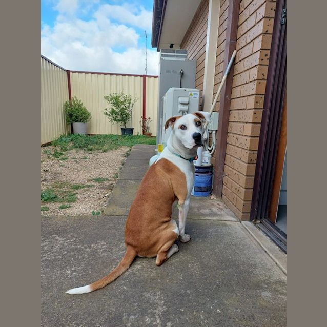 Photo of Bert