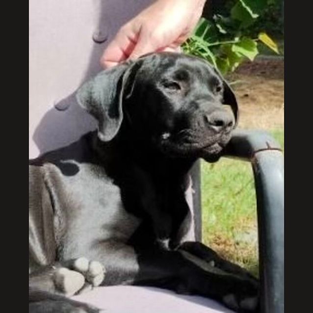 Photo of Diva