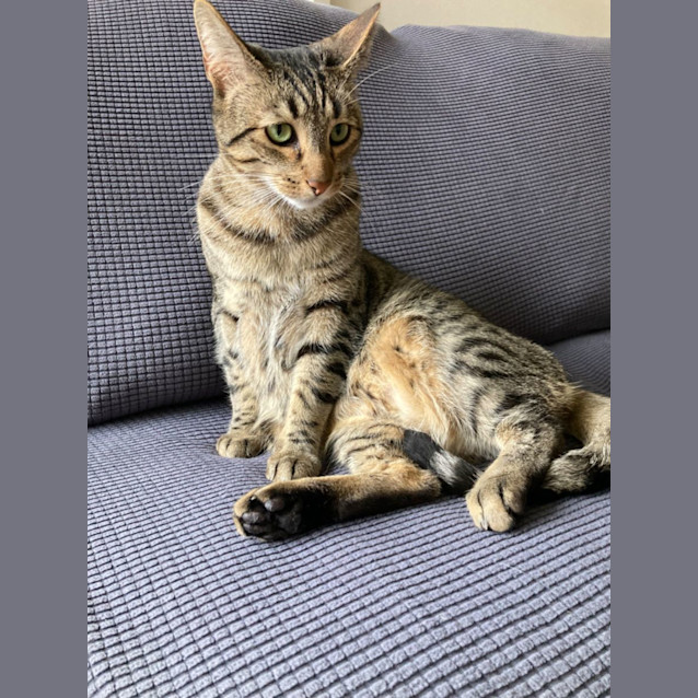 Photo of Milo & Brownie 💙💙