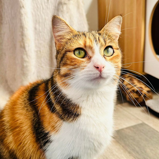 Photo of Jd & Zelda   Located In Preston