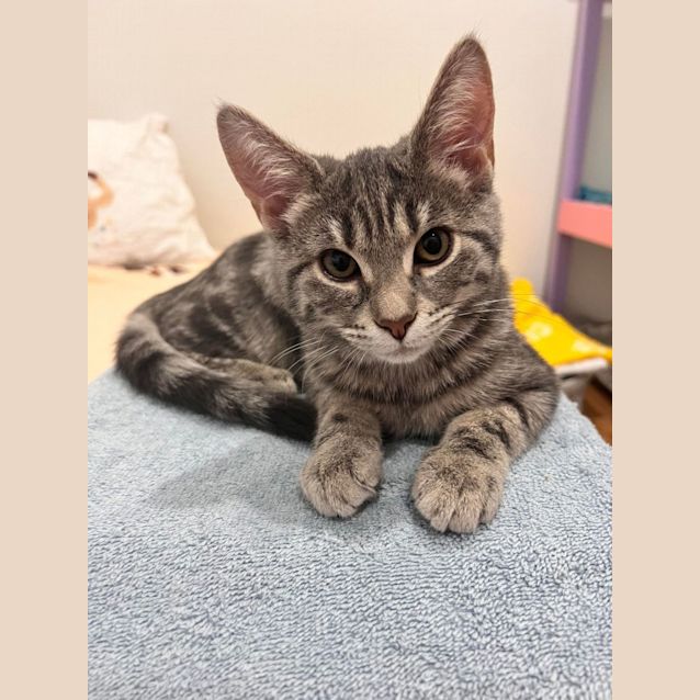 Photo of Ivy   Located In Doreen