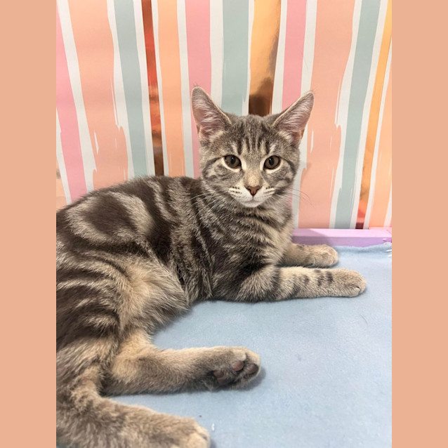 Photo of Ivy   Located In Doreen