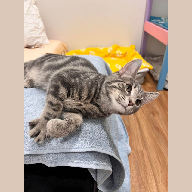 Photo of Ivy   Located In Doreen