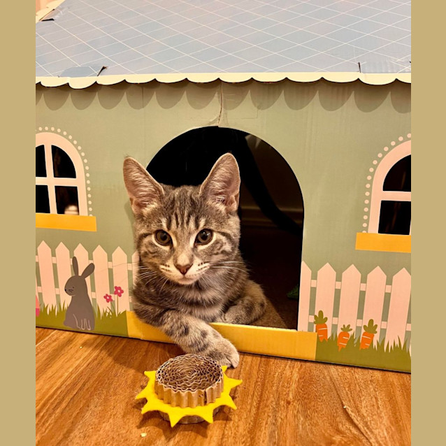 Photo of Ivy   Located In Doreen