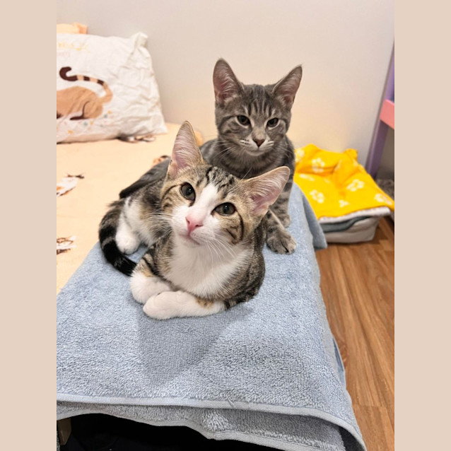 Photo of Ivy   Located In Doreen