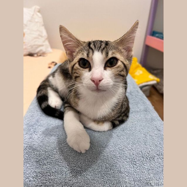 Photo of Harry   Located In Doreen