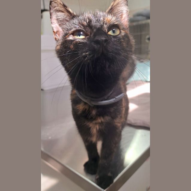 Photo of Parton (0106)