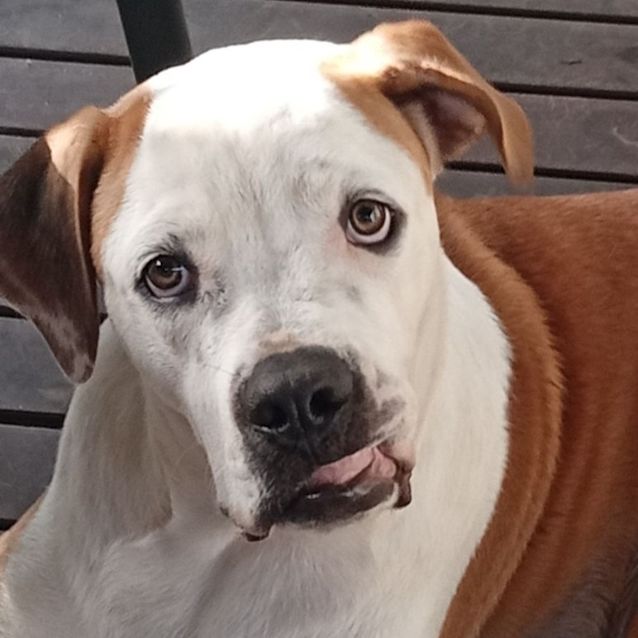 Photo of Frank (Charlie)