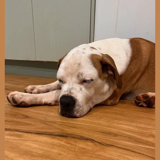 Photo of Frank (Charlie)