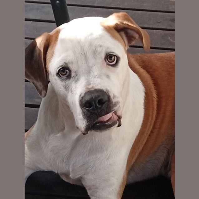 Photo of Frank (Charlie)